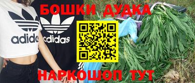 гашик Нарткала
