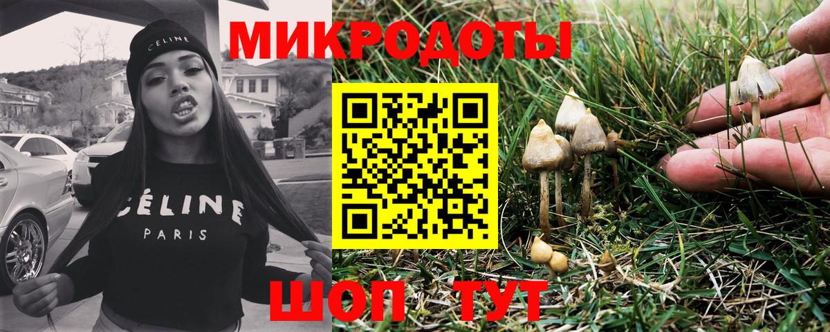 Псилоцибиновые грибы MAGIC MUSHROOMS Салехард